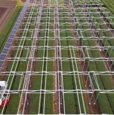 Acquisto di pannelli solari in leasing: quale funziona per te?