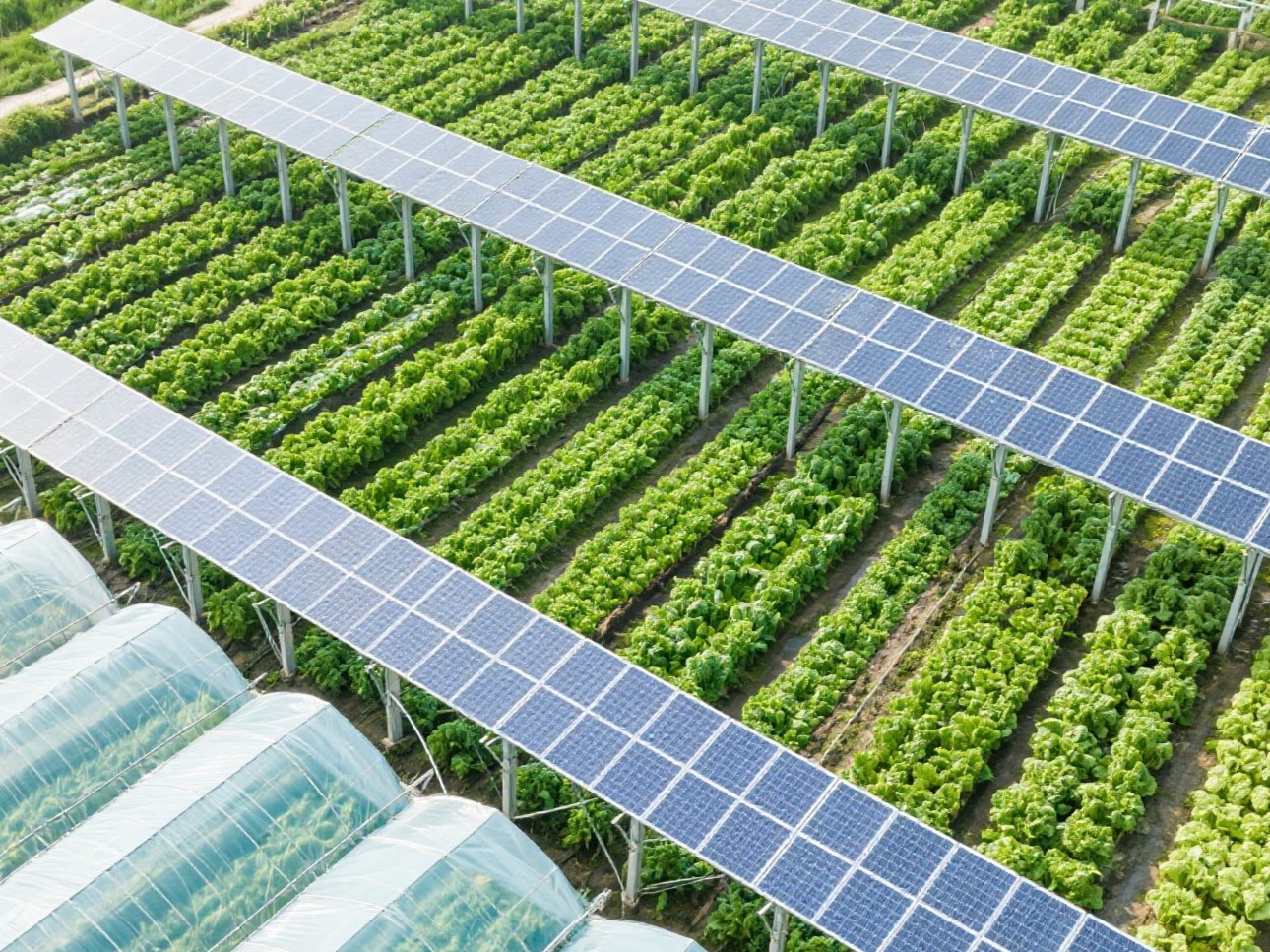 Quale tipo di sistema di supporto viene generalmente utilizzato nelle aziende agricole solari?