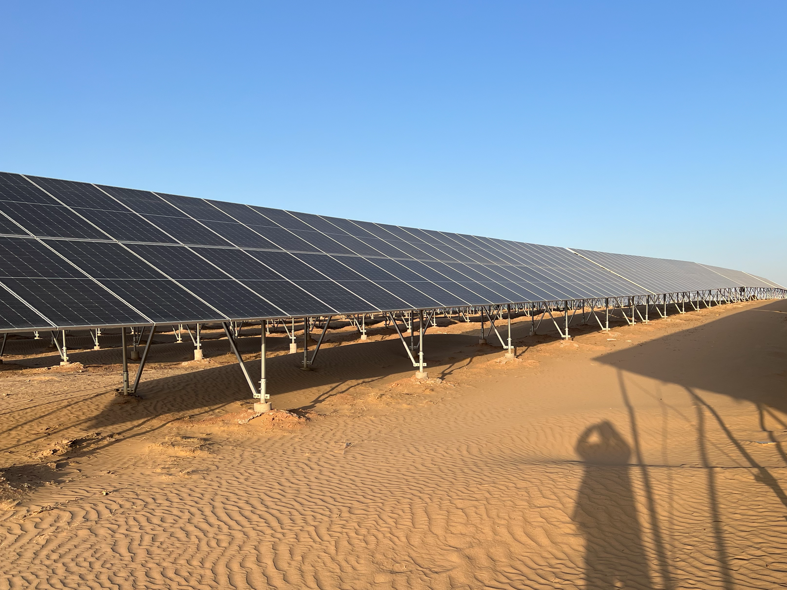 Estendendo la durata della vetrina e la manutenzione del taglio