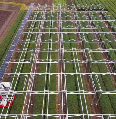 A cosa servono le aziende agricole solari